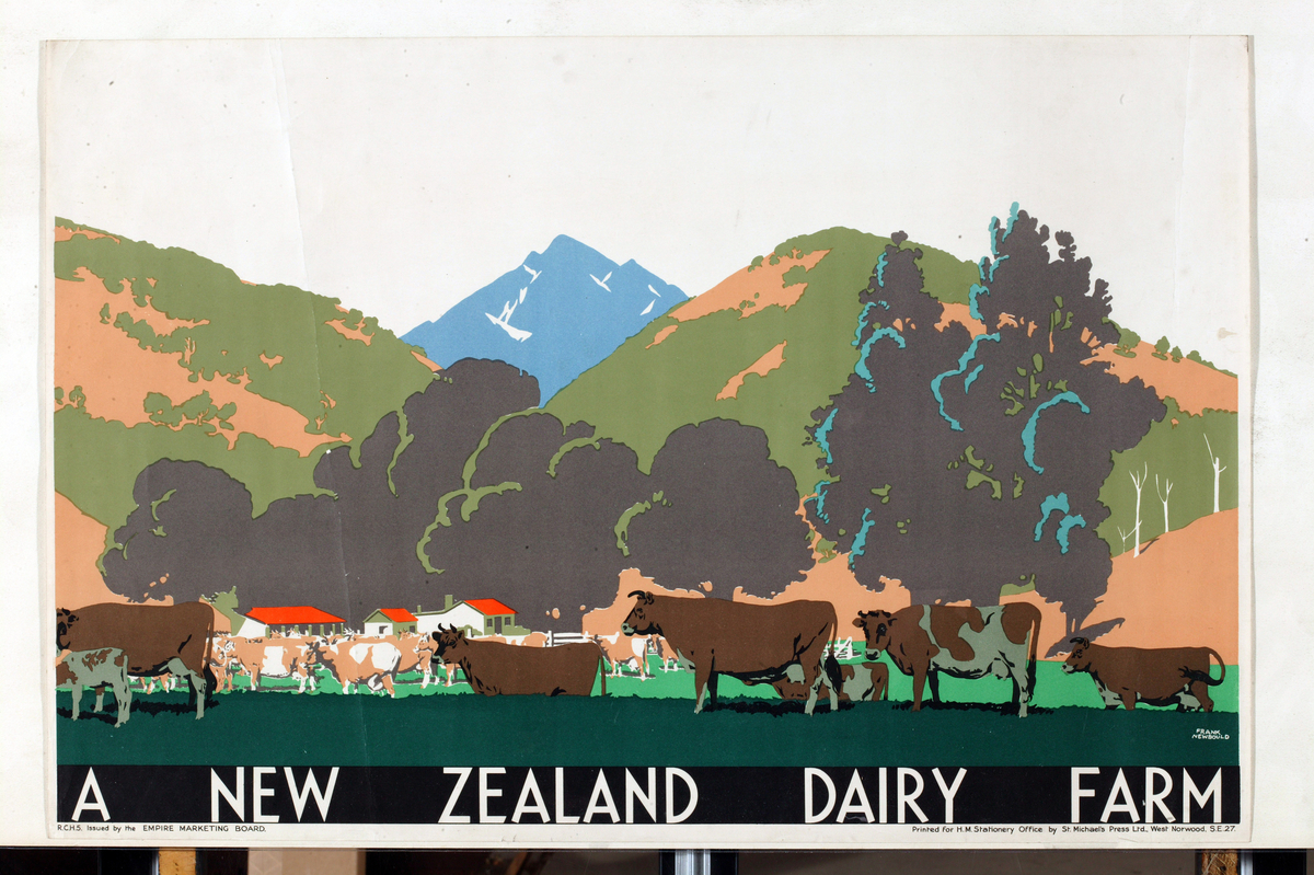 A New Zealand dairy farm